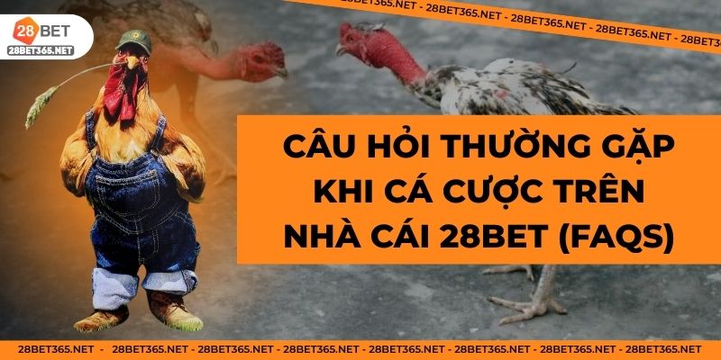 Các câu hỏi thường gặp về Đá gà 28Bet