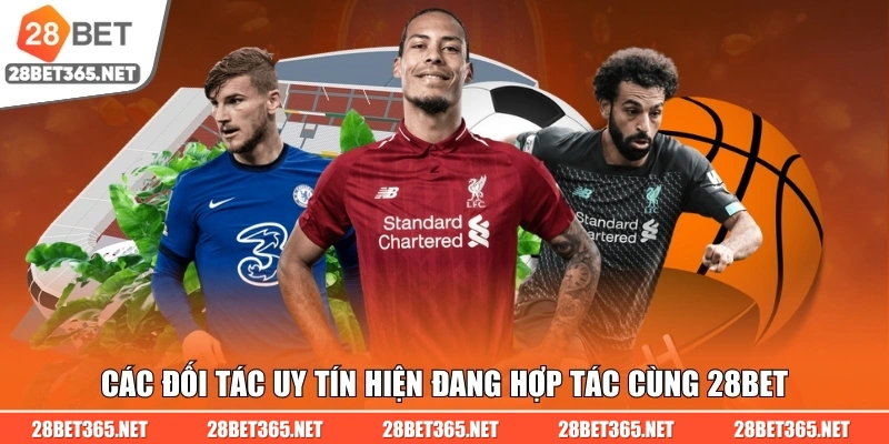 Các đối tác uy tín hiện đang hợp tác cùng 28BET
