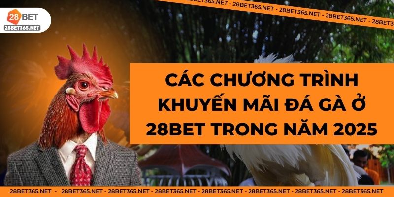 Các khuyến mãi của 28Bet về đá gà