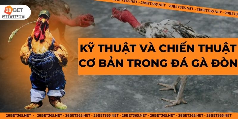 Kỹ thuật và chiến thuật cơ bản trong đá gà đòn