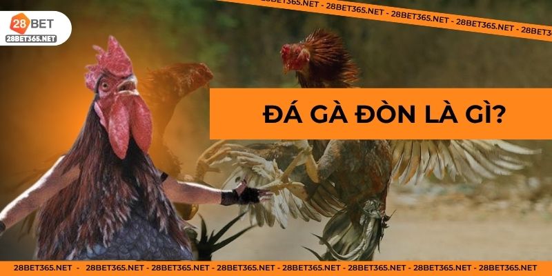 Đá gà đòn là gì?