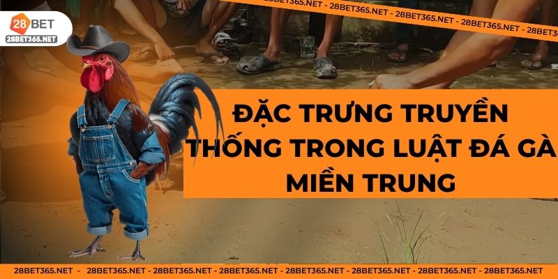 Đặc trưng truyền thống trong luật đá gà miền Trung
