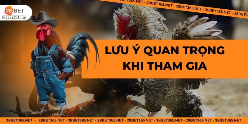 Lưu ý quan trọngkhi tham gia