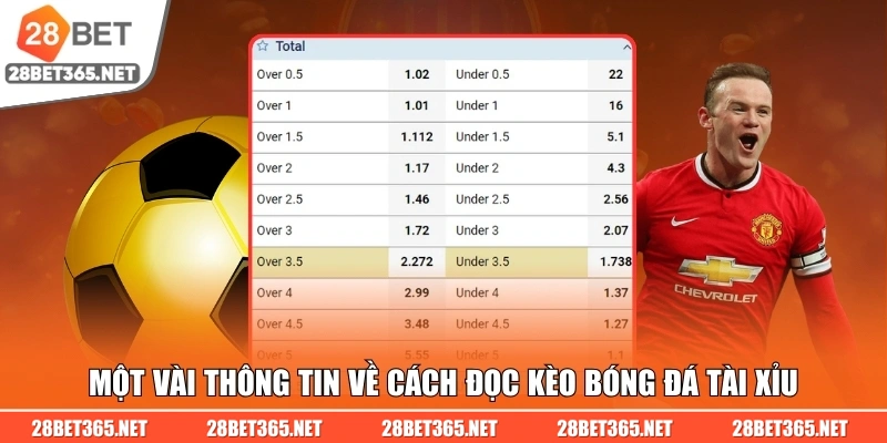 Một vài kinh nghiệm trong cách đọc kèo bóng đá tài xỉu