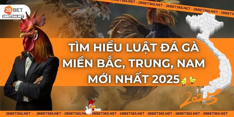 Tìm hiểu luật đá gà miền Bắc, Trung, Nam mới nhất 2025